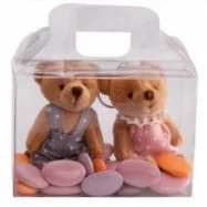 5 valisettes à dragées transparent nounours