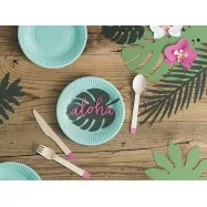 6 assiettes carton turquoise