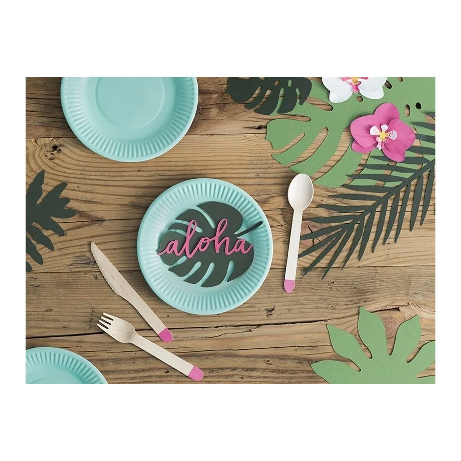 6 assiettes carton turquoise