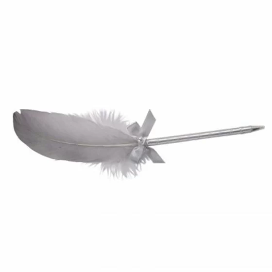 Stylo argent avec plume