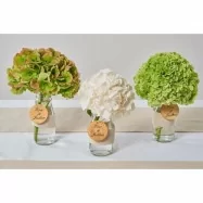 5 m ruban dentelle écru 5 cm 5 m ruban dentelle écru 5 cm