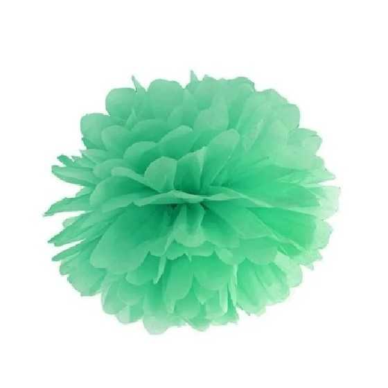 Pompon en papier de soie menthe 25 cm